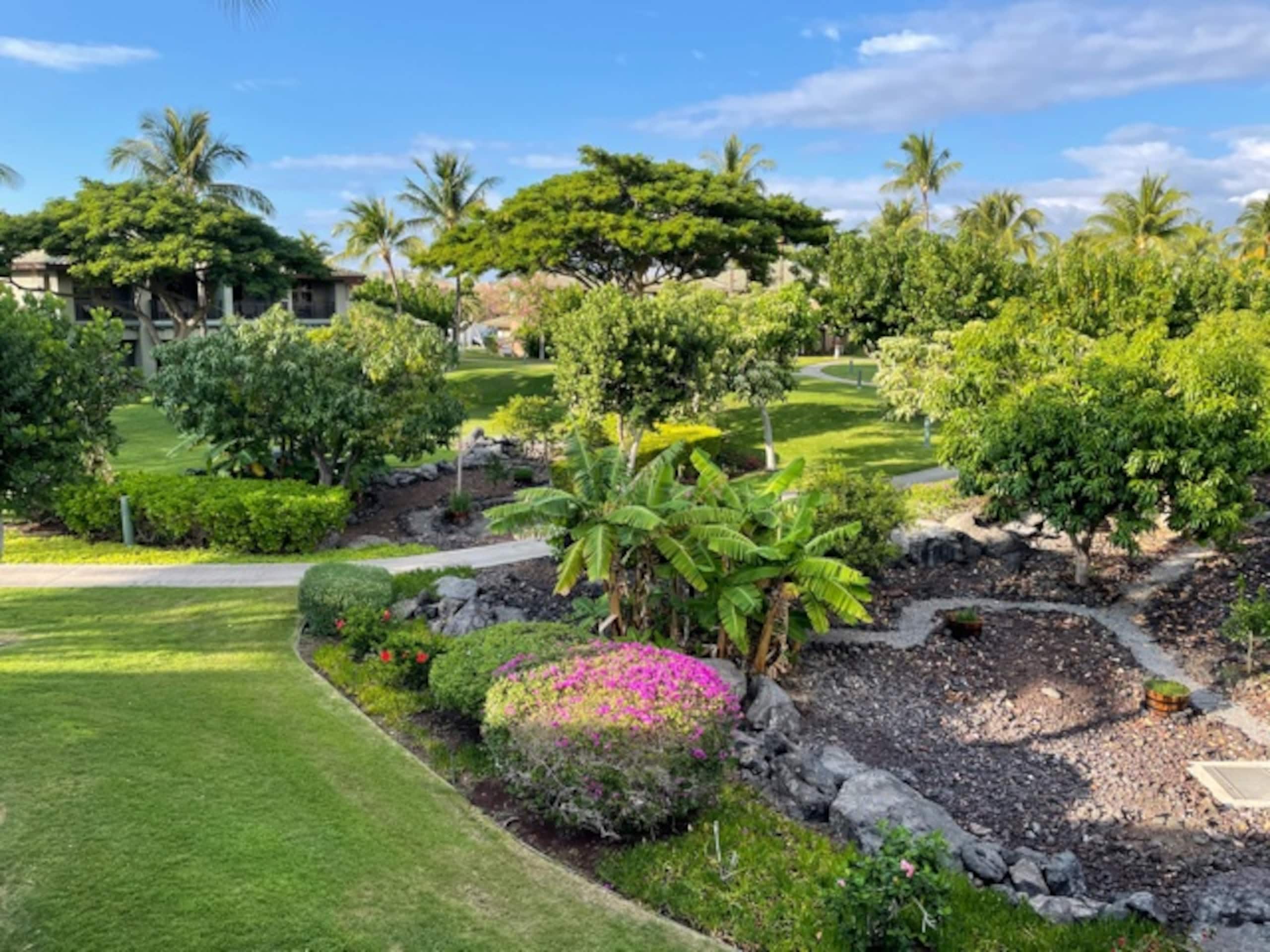 Townhouse in Waimea · ★5.0 · 2 bedrooms · 5 beds · 2.5 baths - Image 19