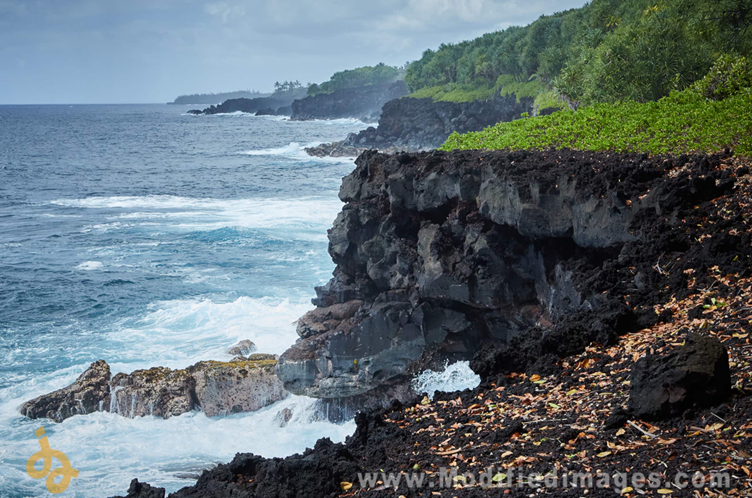 Room in Pahoa - Hostel Hawaii - Stay on Lava - Photo 19
