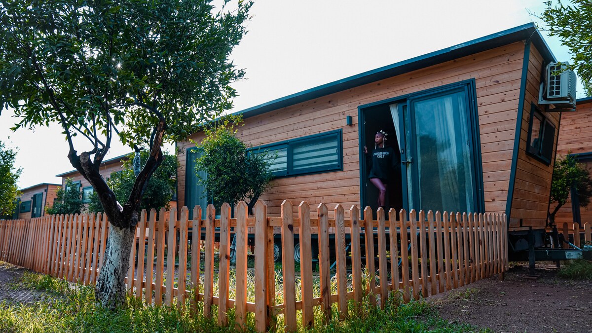 A wooden cabin features a deck with glass doors opening to a nature view. A wooden fence surrounds the property, and the presence of fruit trees and grassy areas is noticeable, creating a serene outdoor environment.