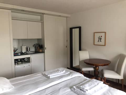 Top performing Airbnb: Charming Studio/Old town (UZ3) in Rathaus