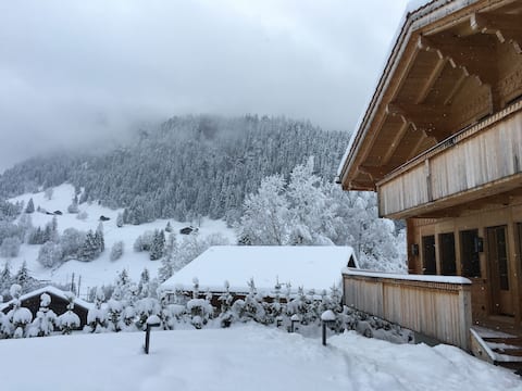 Cosy Swiss Mountain Chalet