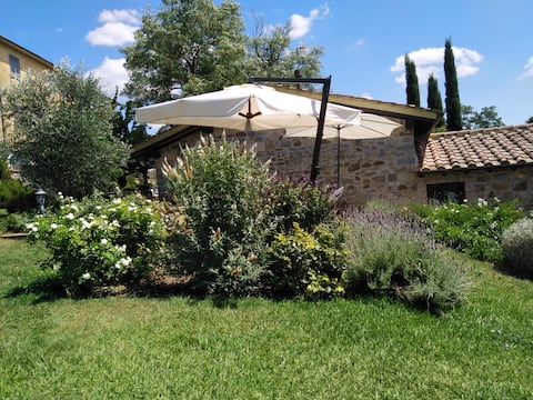 "La Capanna di Neri" stone farmhouse with swimming pool