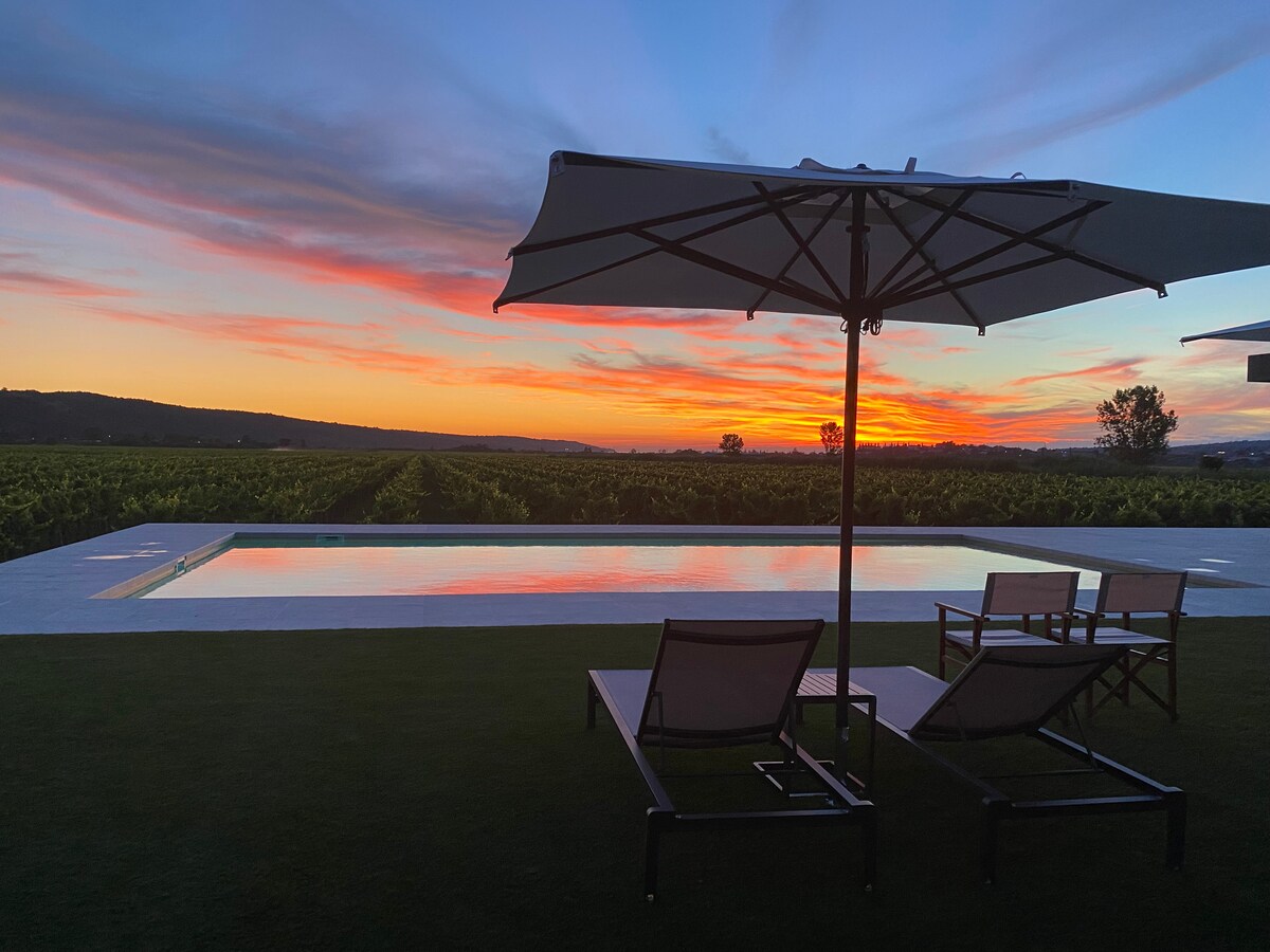 A serene outdoor space features a reflective swimming pool surrounded by vineyards, framed by a vibrant sunset. Lounge chairs and large umbrellas provide comfort while showcasing the expansive, peaceful landscape.