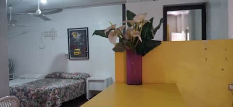 Top performing Airbnb: Ground floor apartment, good location in Puente Blanco