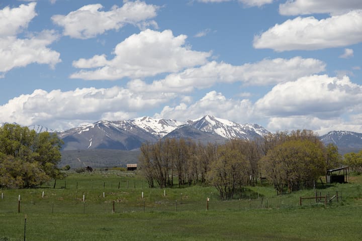 listing_image