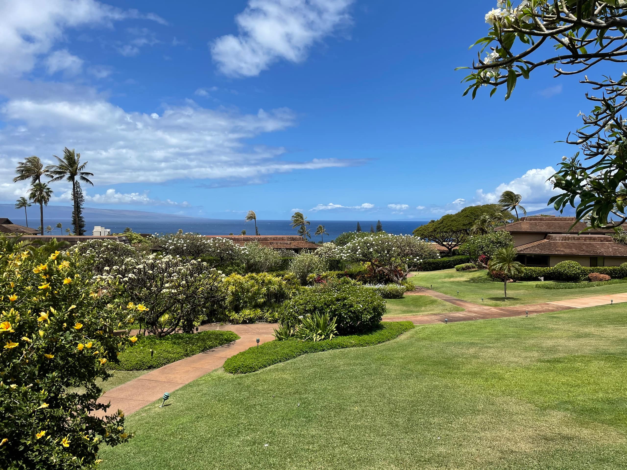 Condo in Lahaina · ★5.0 · 2 bedrooms · 2 beds · 2 baths - Image 29