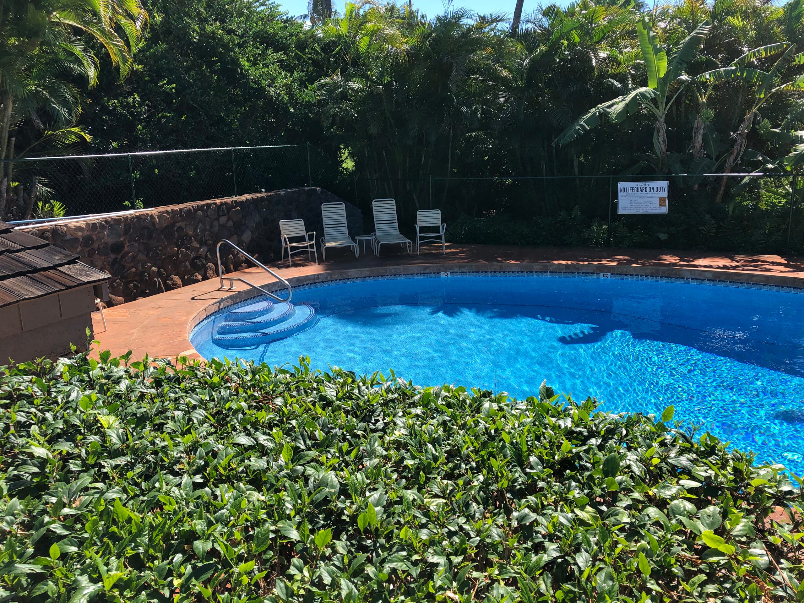 Condo in Lahaina · ★5.0 · 2 bedrooms · 2 beds · 2 baths - Image 31