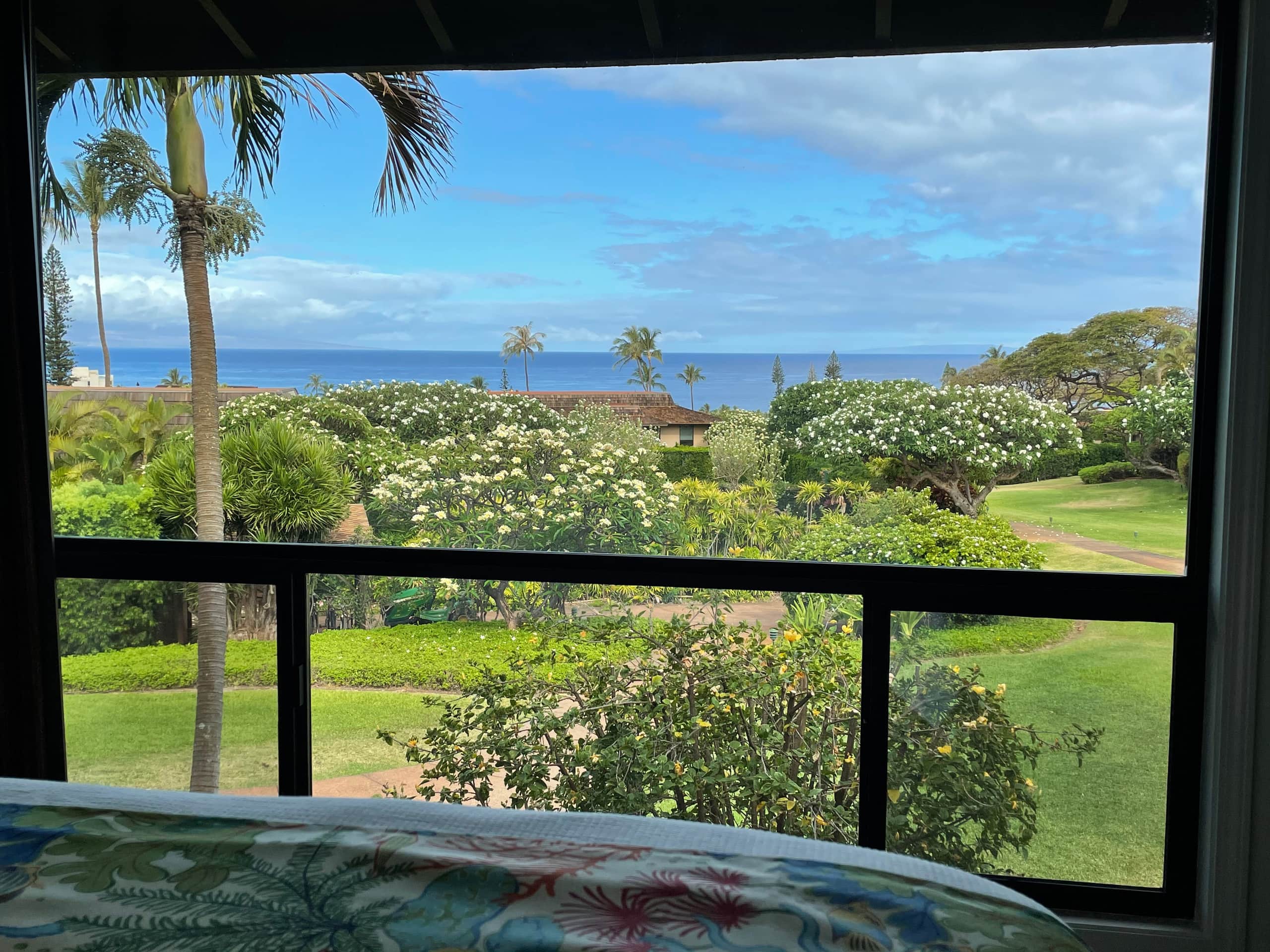 Condo in Lahaina · ★5.0 · 2 bedrooms · 2 beds · 2 baths - Image 8