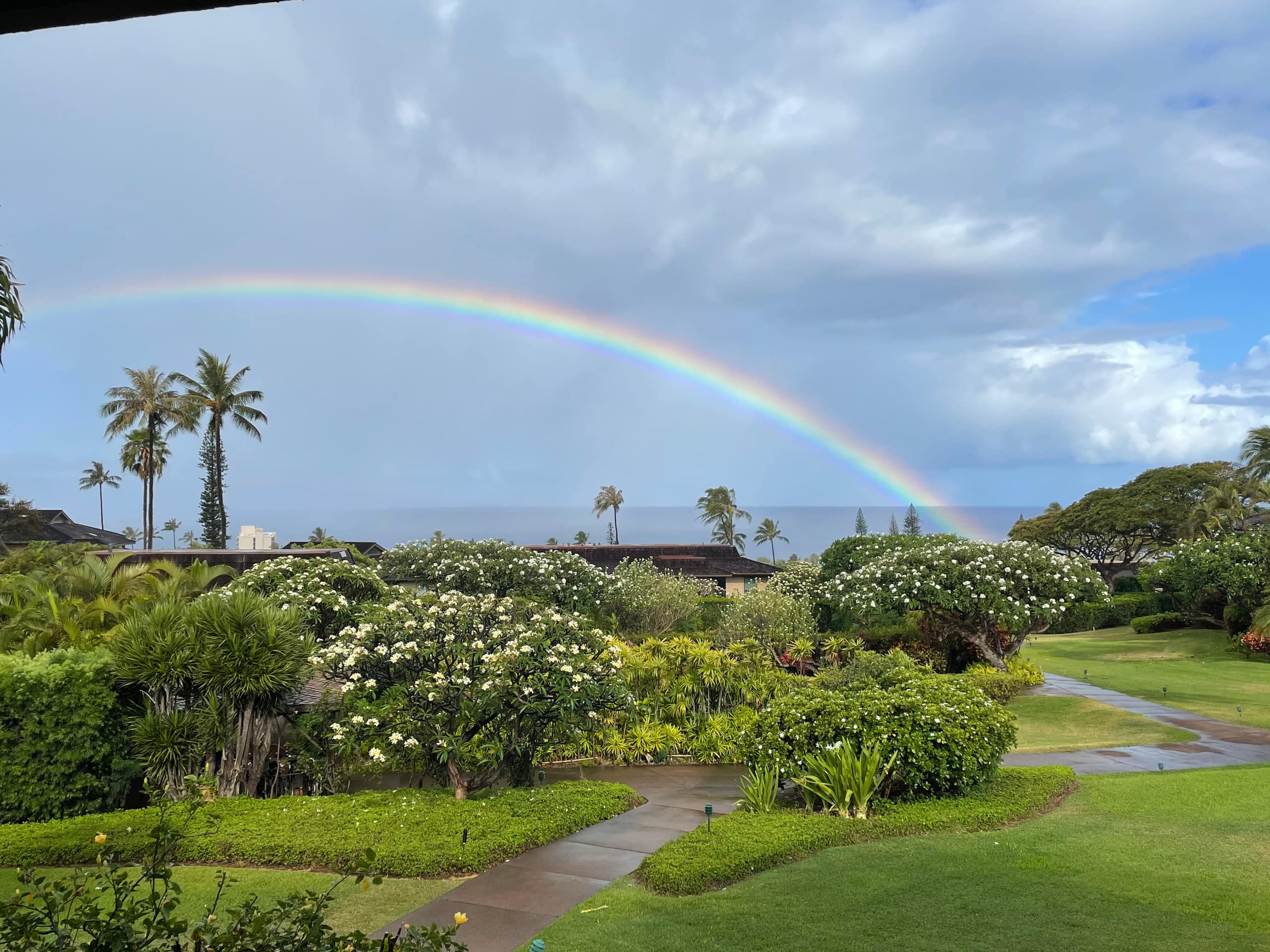Condo in Lahaina · ★5.0 · 2 bedrooms · 2 beds · 2 baths - Image 28