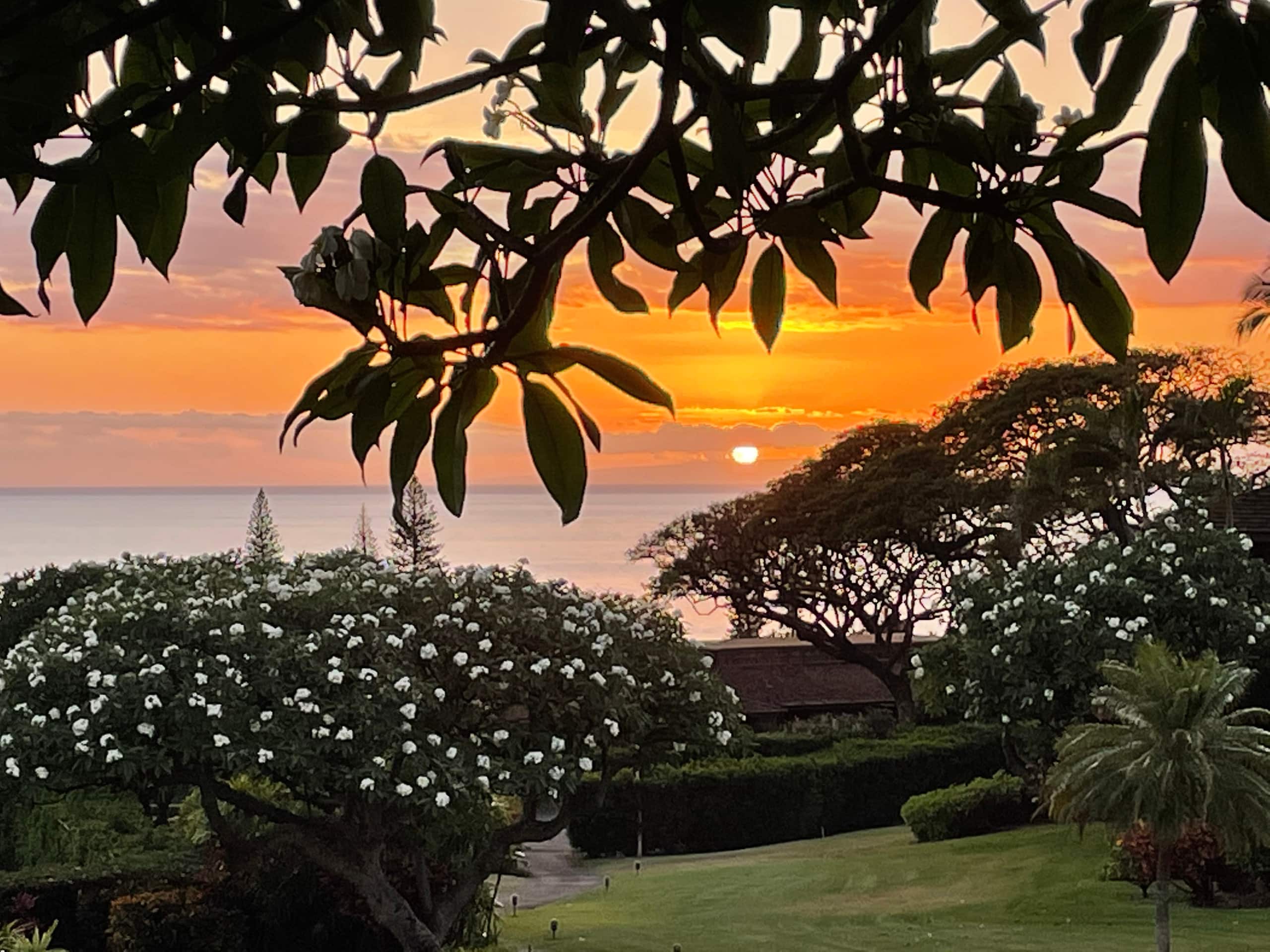 Condo in Lahaina · ★5.0 · 2 bedrooms · 2 beds · 2 baths - Image 25