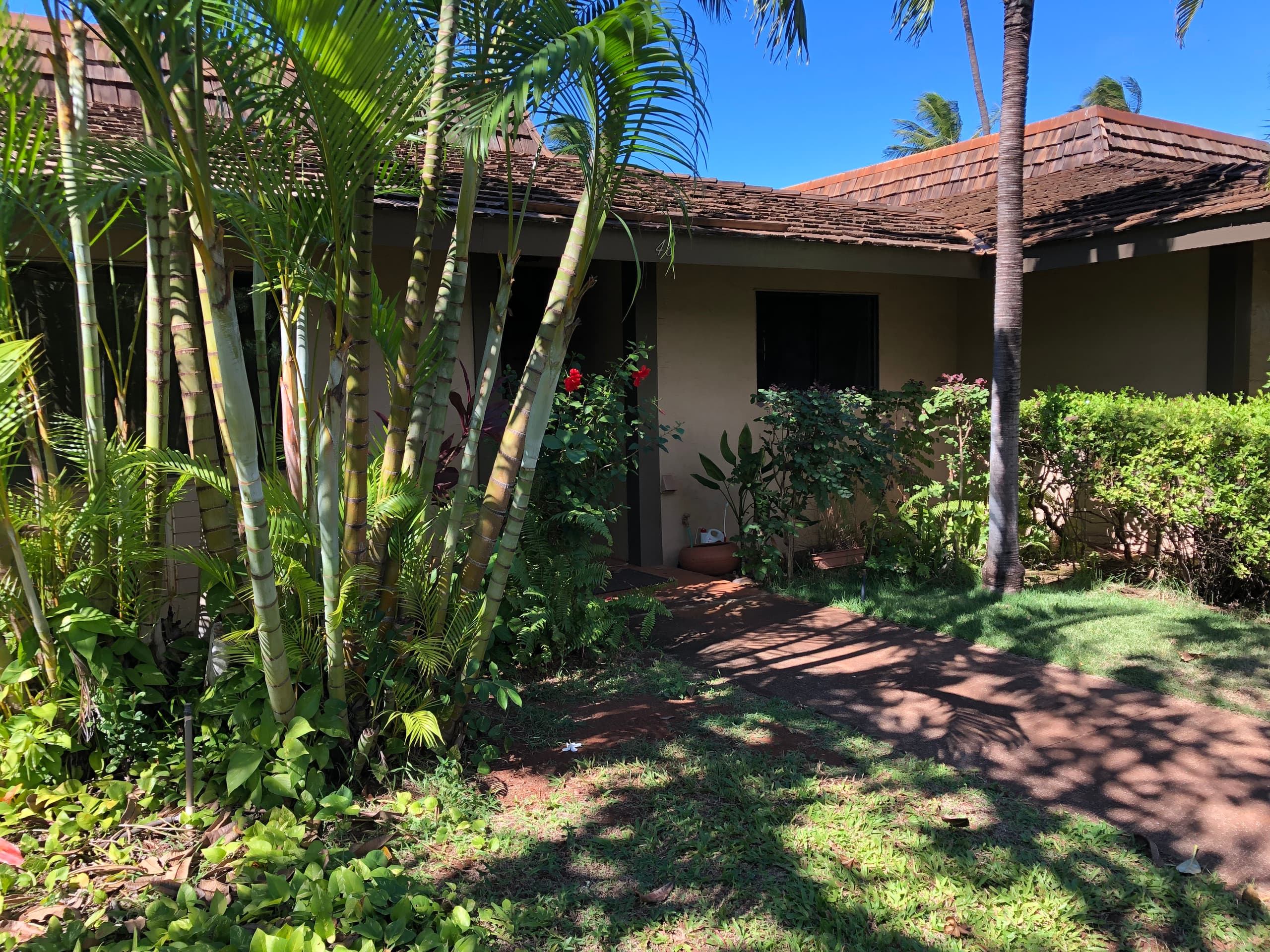 Condo in Lahaina · ★5.0 · 2 bedrooms · 2 beds · 2 baths - Image 30