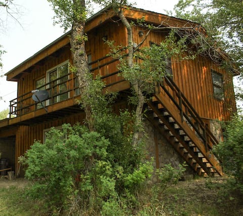 Bob's TreeHouse