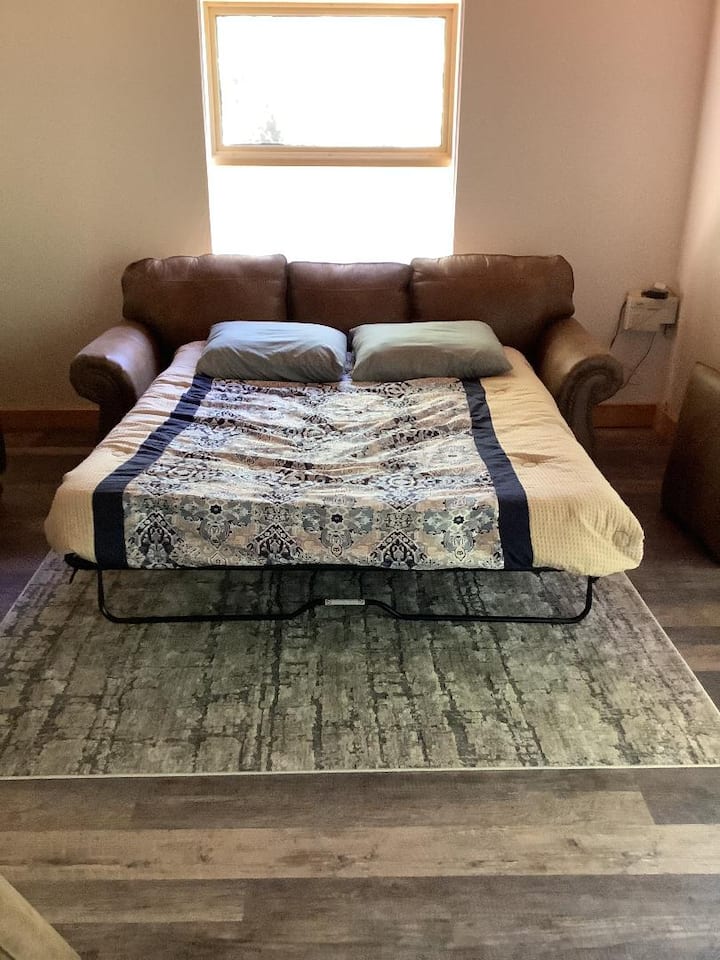 Fold Out Couch in Living Room