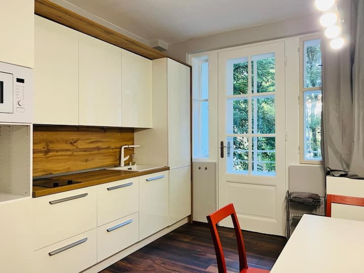 Timeless Bratislava 2rooms + 2bathrooms + Balcony - Bratislava