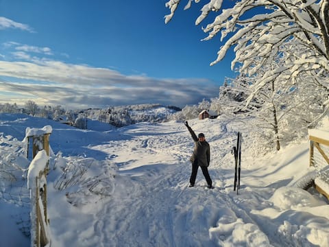 Top performing Airbnb: Apartment in courtyard house, quiet - in nature, close to town in Bergen