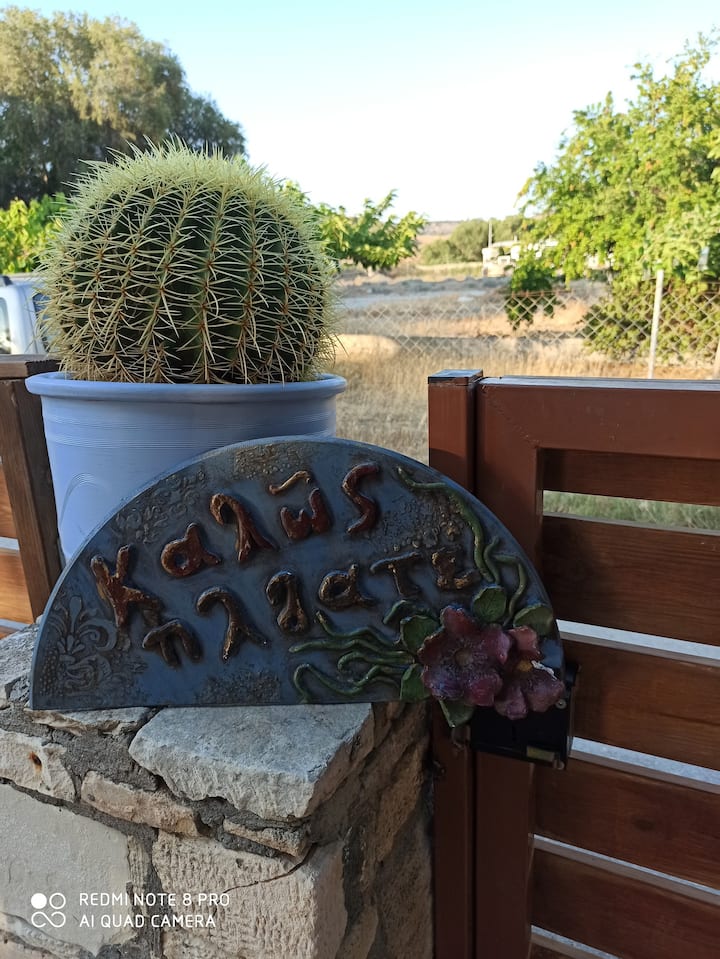 Cactus Home in Kalamaki