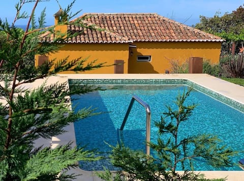 Popular Airbnb listing: Quinta do Alto in Funchal (Santa Maria Maior)