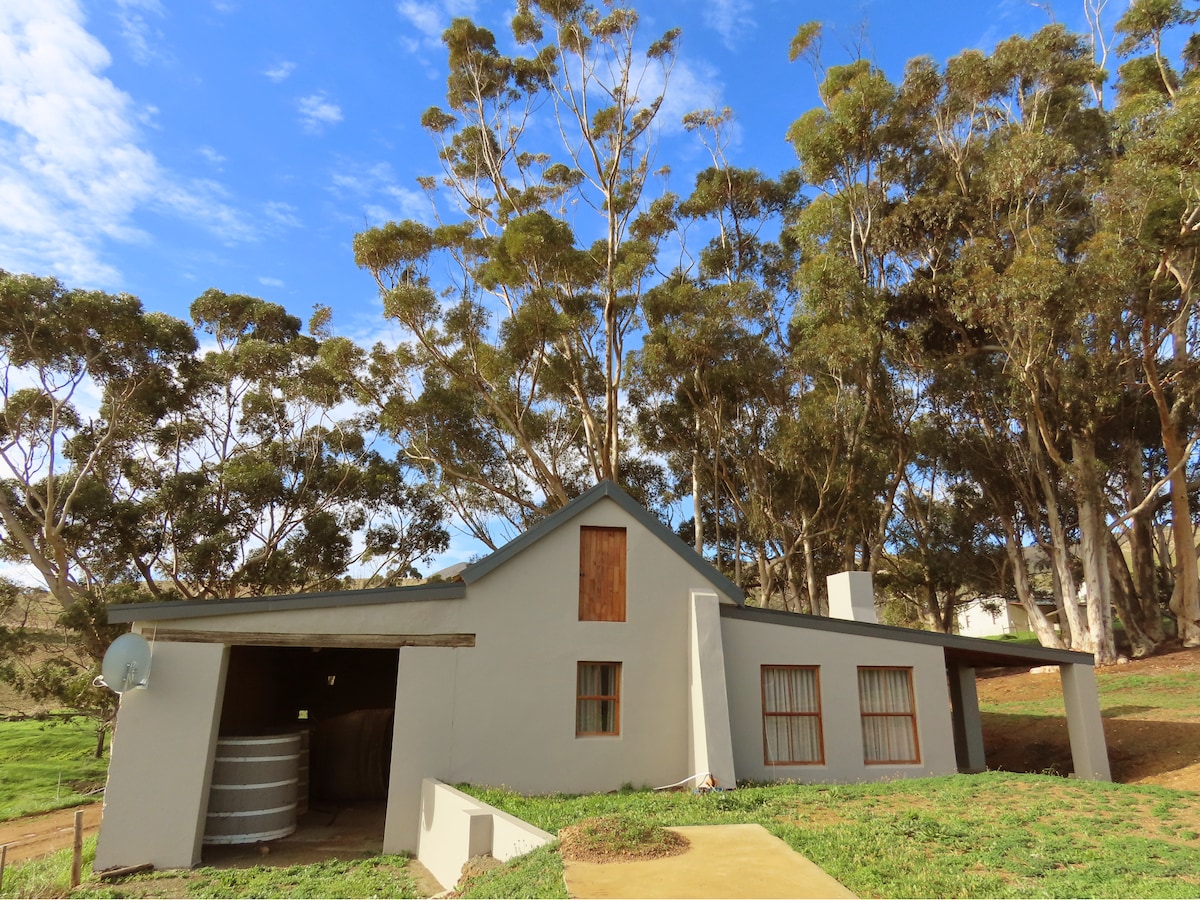 The recently renovated shed guest house features a modern exterior with large windows and a pitched roof. A rustic wooden door is visible, while surrounding trees provide shade and a natural ambiance. The pathway leading to the house offers accessibility into the tranquil landscape.