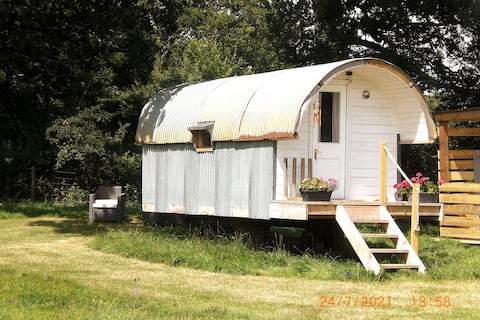 Popular Airbnb listing: Delightful little pig ark, shepherd hut conversion in Winchester