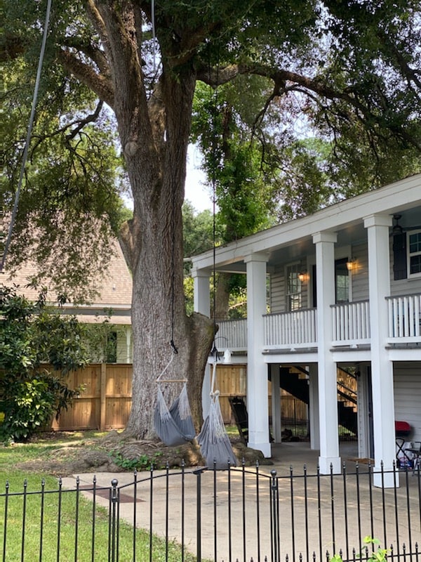 A spacious outdoor area features a robust tree with hammocks suspended nearby. The elevated structure showcases a wraparound porch with white columns. Lush greenery surrounds a fenced yard, enhancing the inviting atmosphere for relaxation or leisure activities.