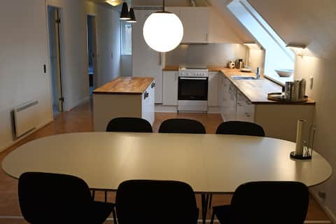 Large bright apartment