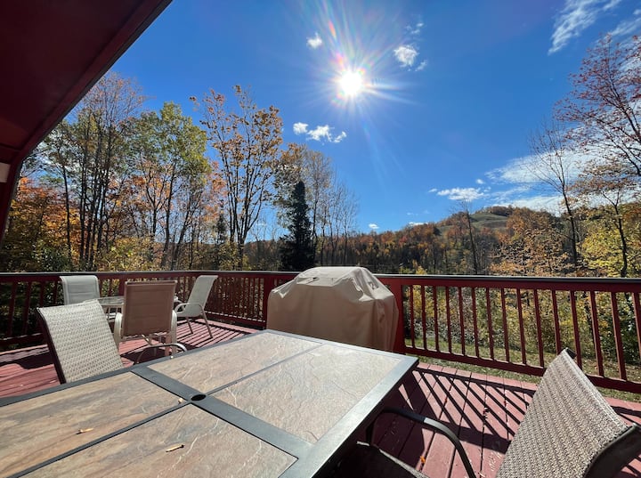 Piper Haus Unit 1 Chalet 18 guests Townhouses for Rent in Bessemer