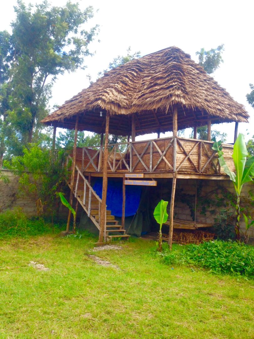 A raised structure features a thatched roof and a spacious deck, framed by wooden supports. Stairs lead down to a grassy area where lush greenery and plants flourish. The design integrates natural materials, creating a connection with the surrounding environment.