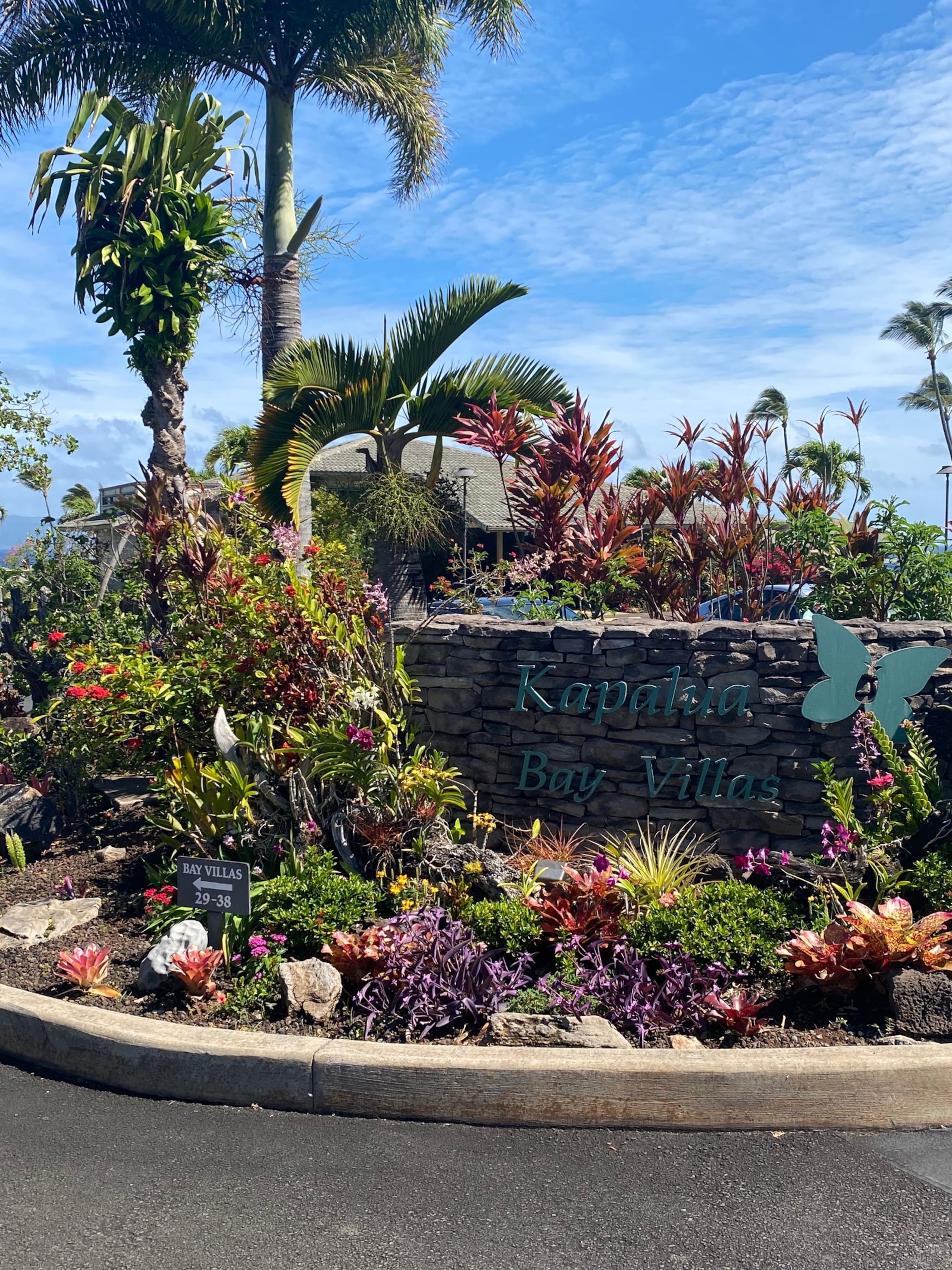 Condo in Lahaina · ★4.99 · 1 bedroom · 2 beds · 1 bath - Image 5