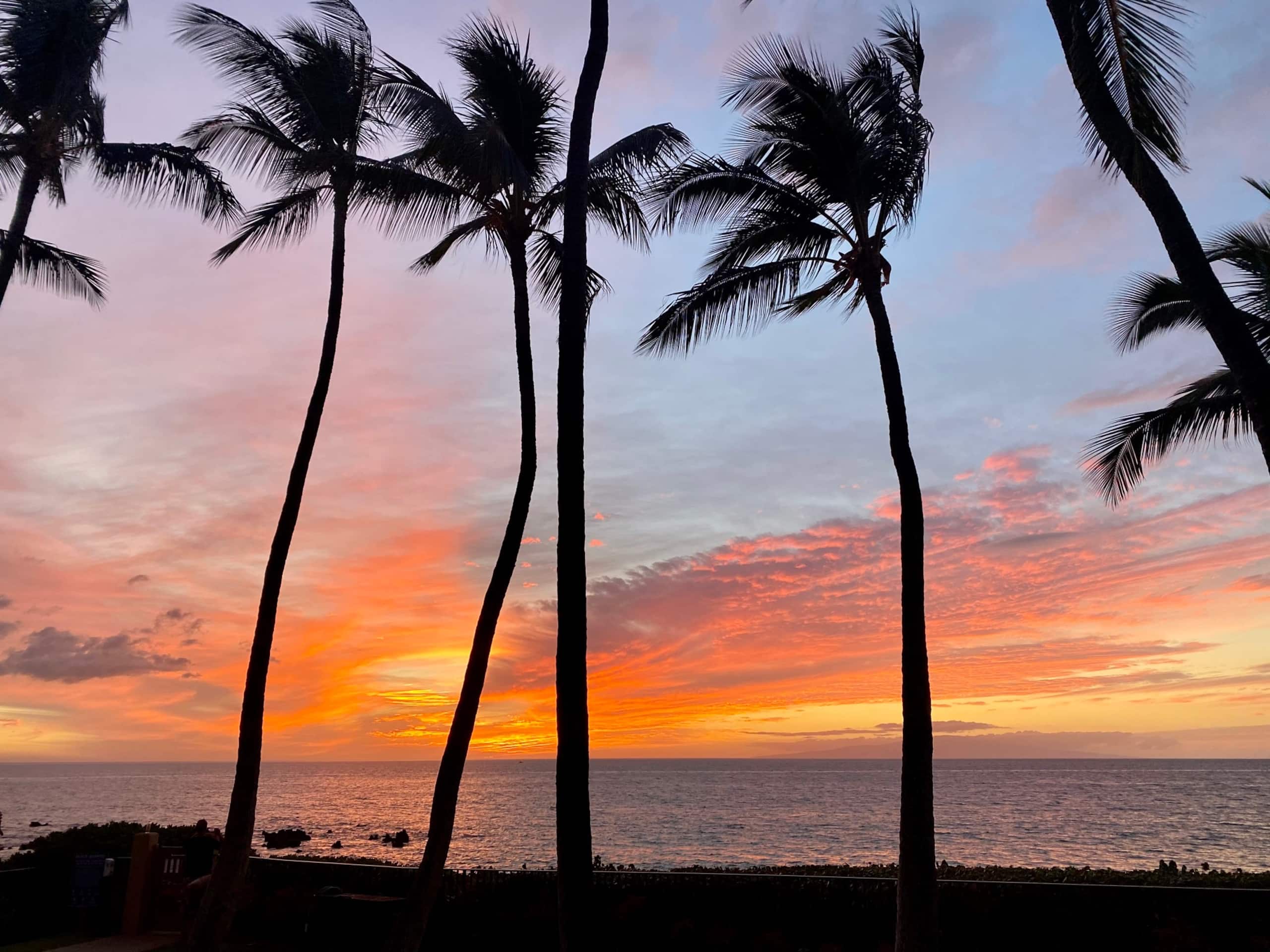 Condo in Lahaina · ★4.99 · 1 bedroom · 2 beds · 1 bath - Image 4