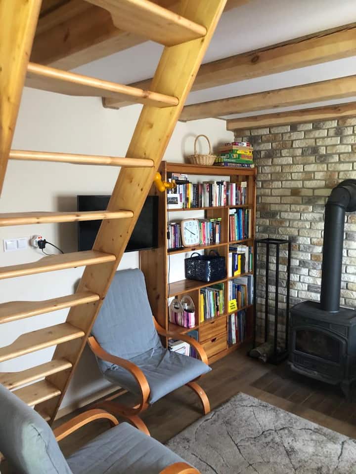 Salon z aneksem kuchennym i kominkiem
Nappali konyhával és kandallóval