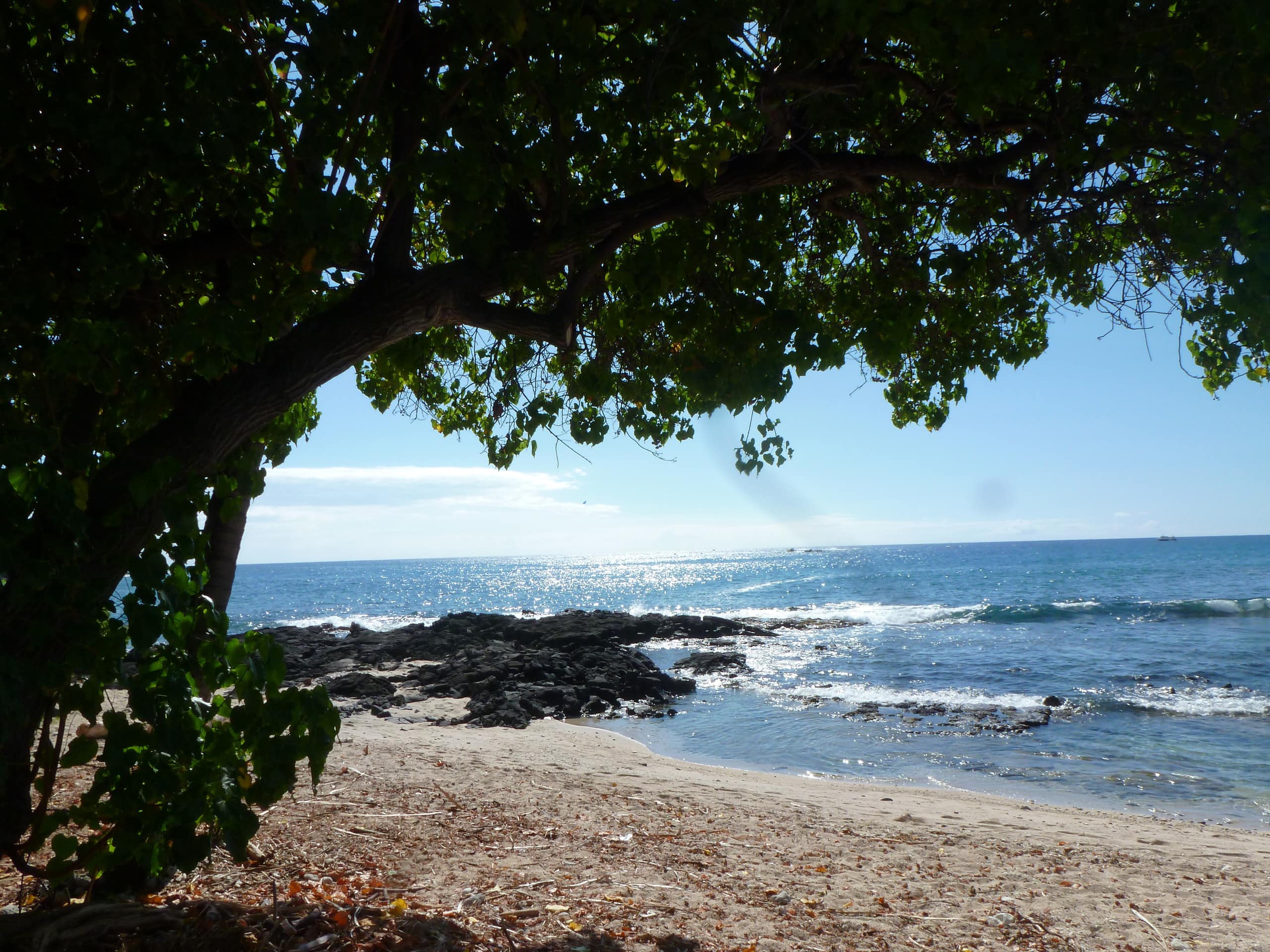 Condo in Kailua-Kona · ★4.88 · 1 bedroom · 2 beds · 1 bath - Image 26
