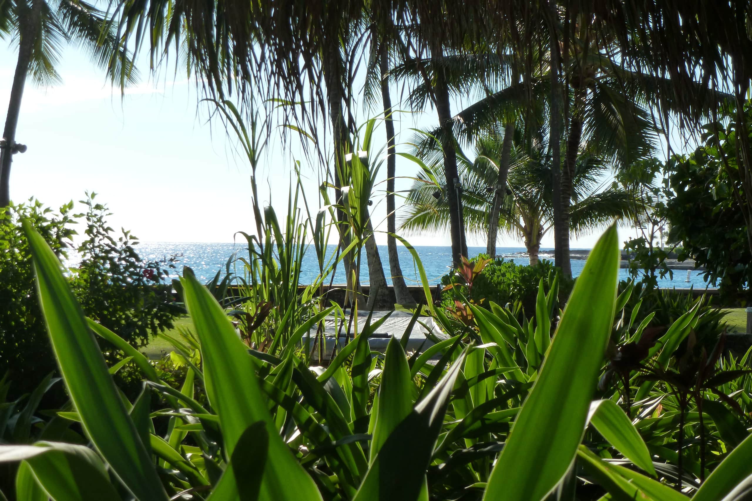 Condo in Kailua-Kona · ★4.88 · 1 bedroom · 2 beds · 1 bath - Image 23