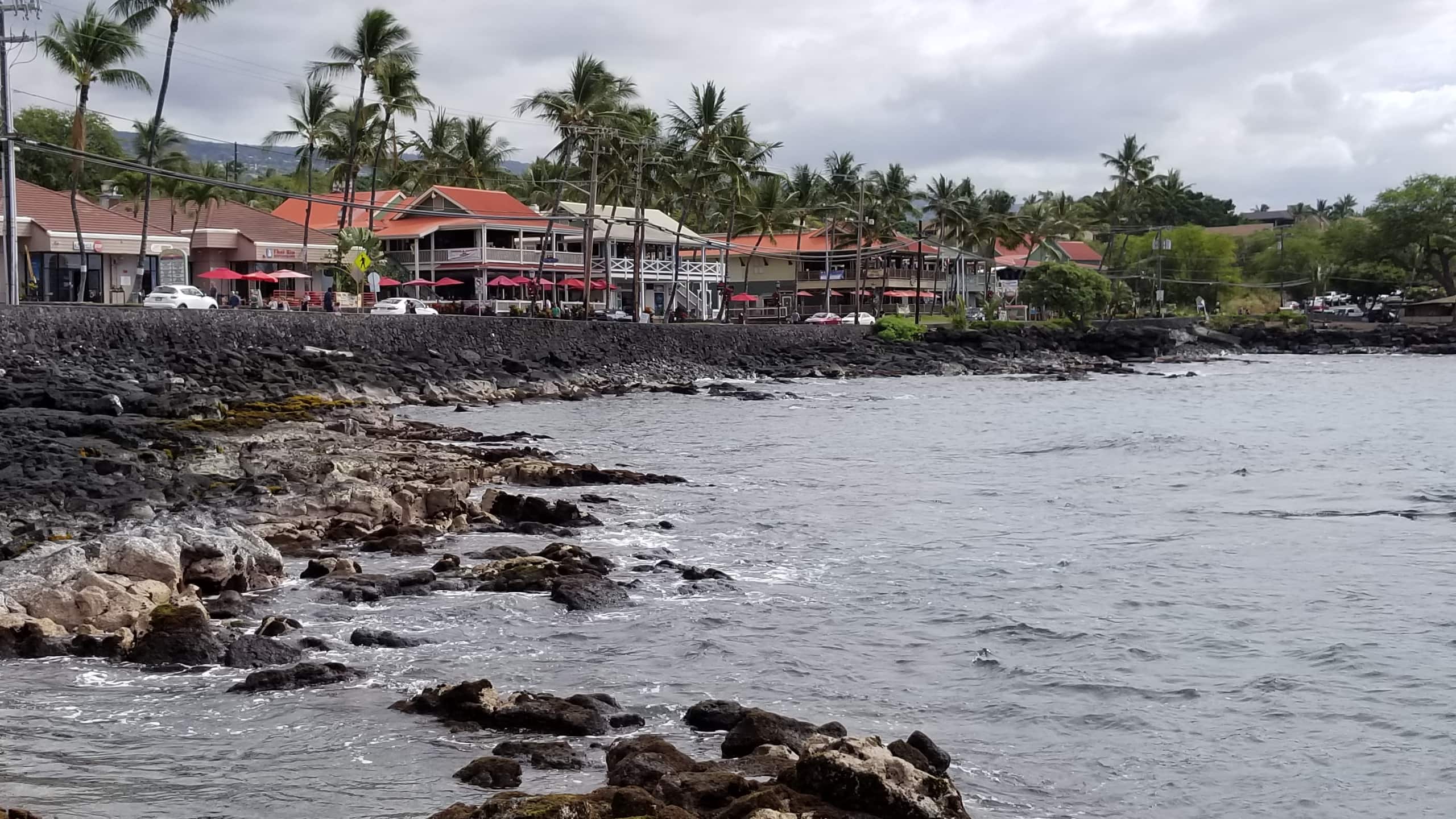 Condo in Kailua-Kona · ★4.88 · 1 bedroom · 2 beds · 1 bath - Image 28