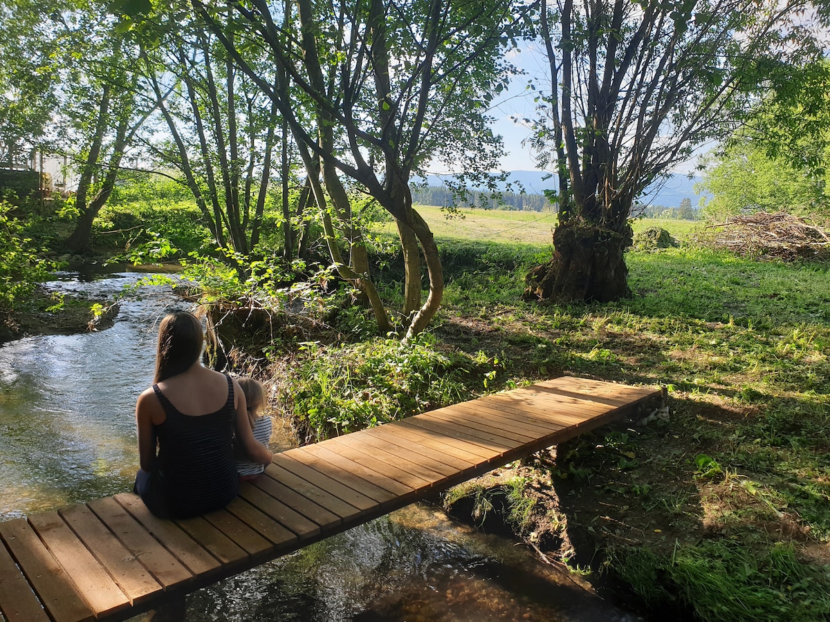 A wooden bridge spans a gentle stream, surrounded by lush greenery. Trees arch gracefully over the water, creating a serene setting. A figure sits quietly at the bridge's edge, absorbing the tranquil atmosphere and scenic views of the landscape in the background.