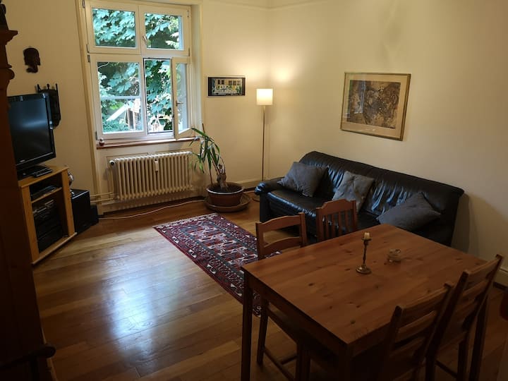 Lovley 2.5 Room Flat In Old The Town Of Basel - 바젤