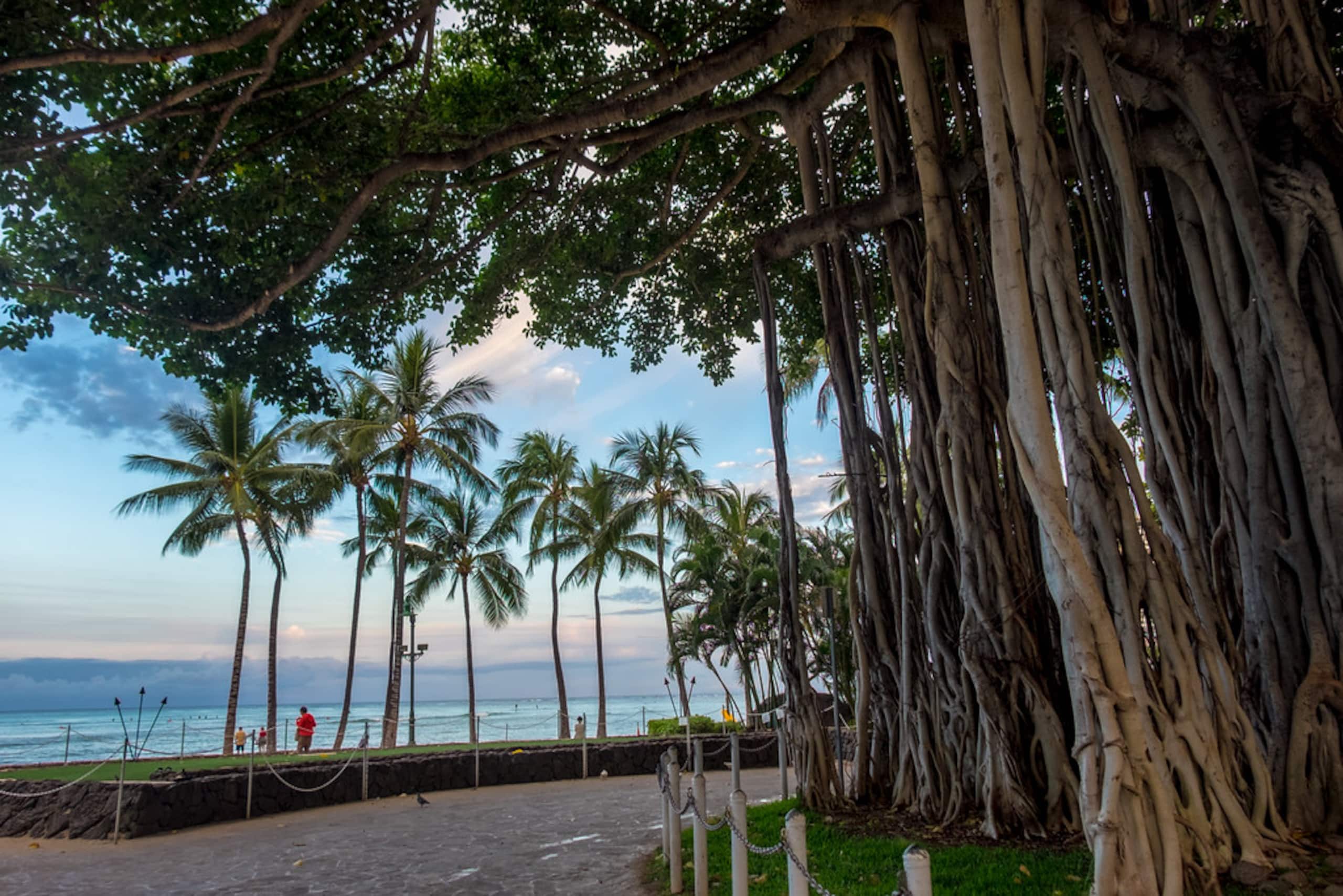 Condo in Honolulu · ★4.69 · Studio · 1 bed · 1 shared bath - Image 8