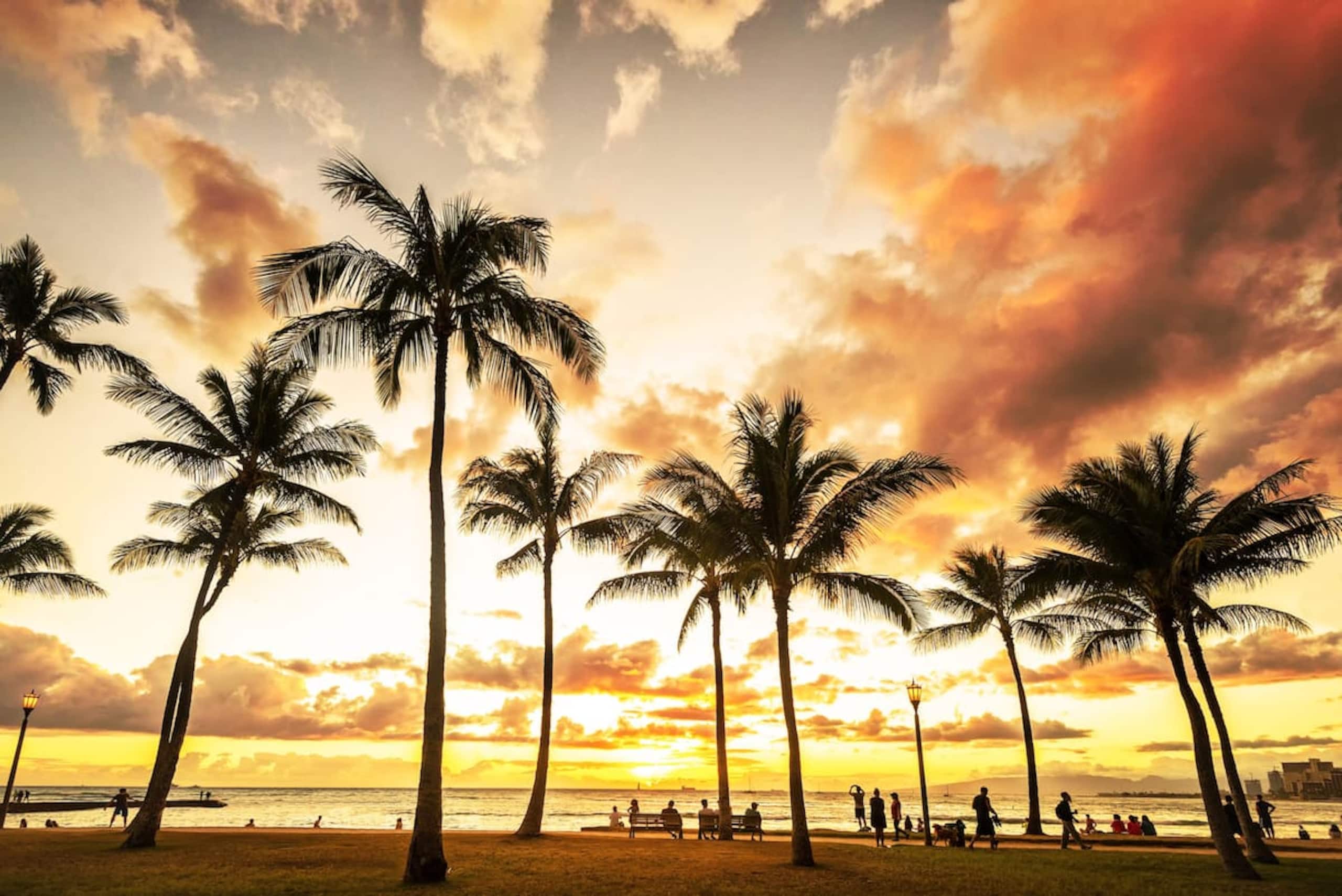 Condo in Honolulu · ★4.69 · Studio · 1 bed · 1 shared bath - Image 9