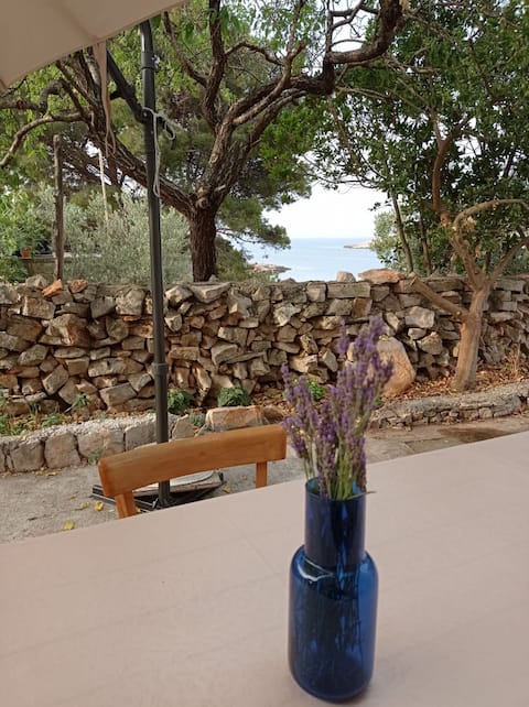 Popular Airbnb listing: Žirje Island, Pečenja Bay, apartment near the beach. in Žirje