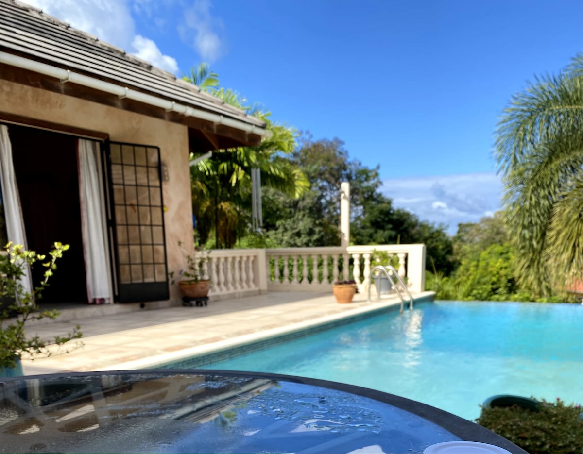 The image captures a serene view of a saltwater pool set against a backdrop of lush greenery and a bright blue sky. The patio area features elegant columns and potted plants, while the doorway of the villa invites a glimpse of the interior.
