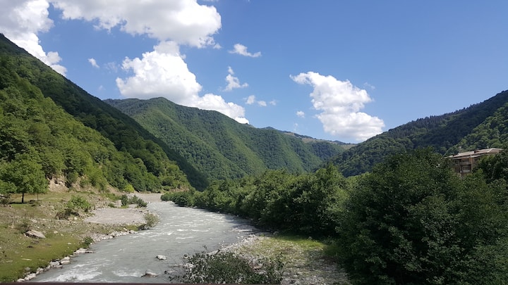 Сиони Пасанаури