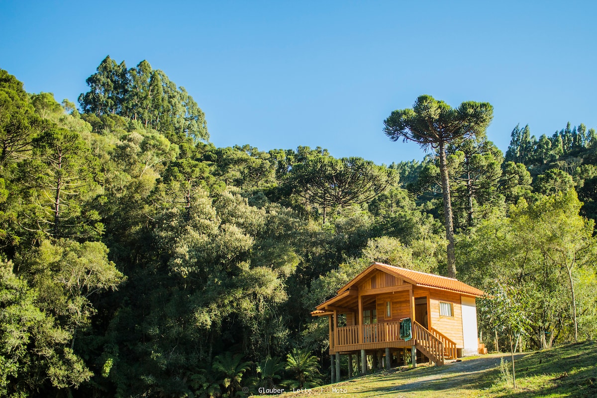 A rustic cabin is nestled among lush greenery, showcasing its wooden exterior and inviting front porch. Towering trees provide a serene backdrop, while the clear blue sky completes the tranquil setting.