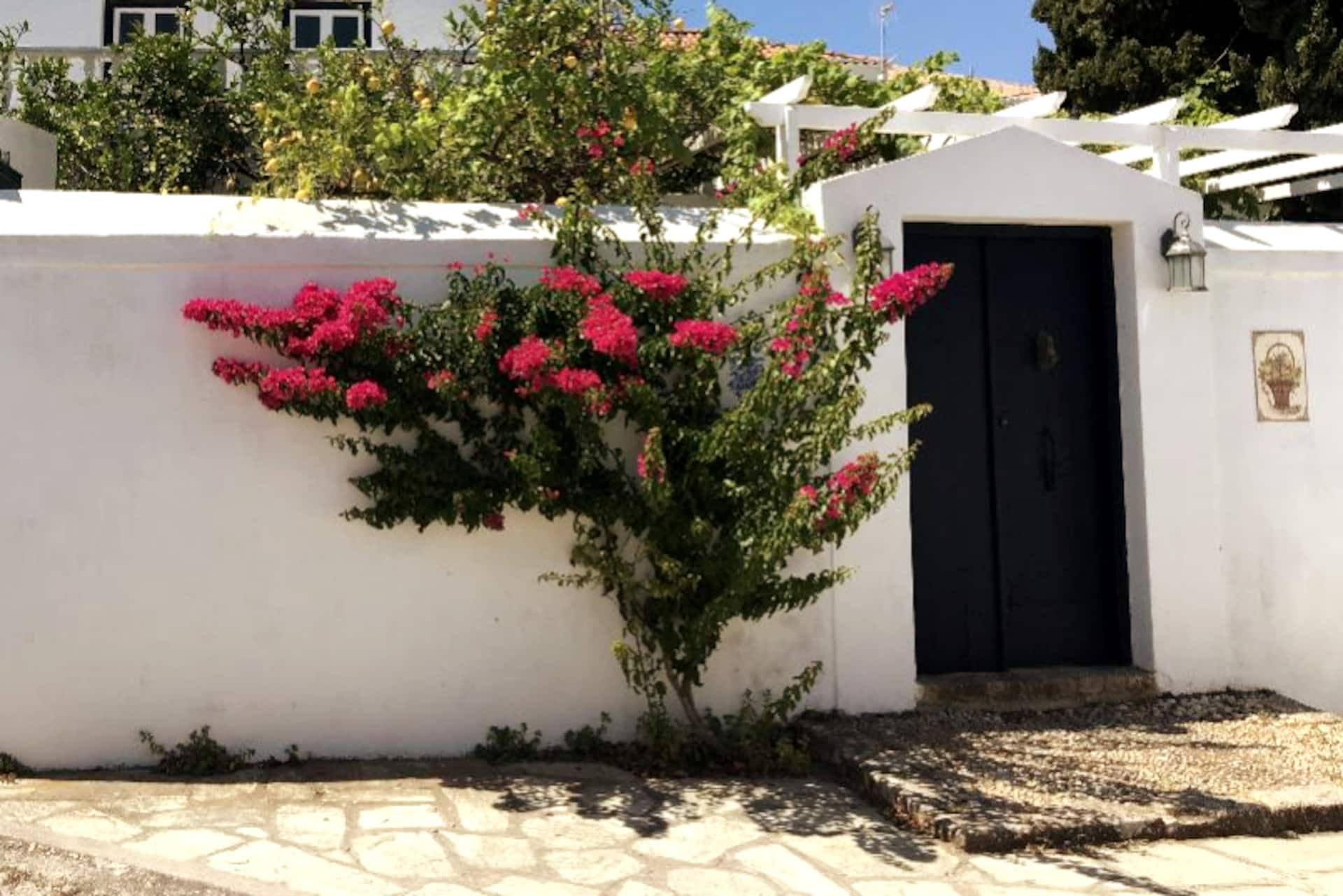 Pleasant Mansion With Garden!