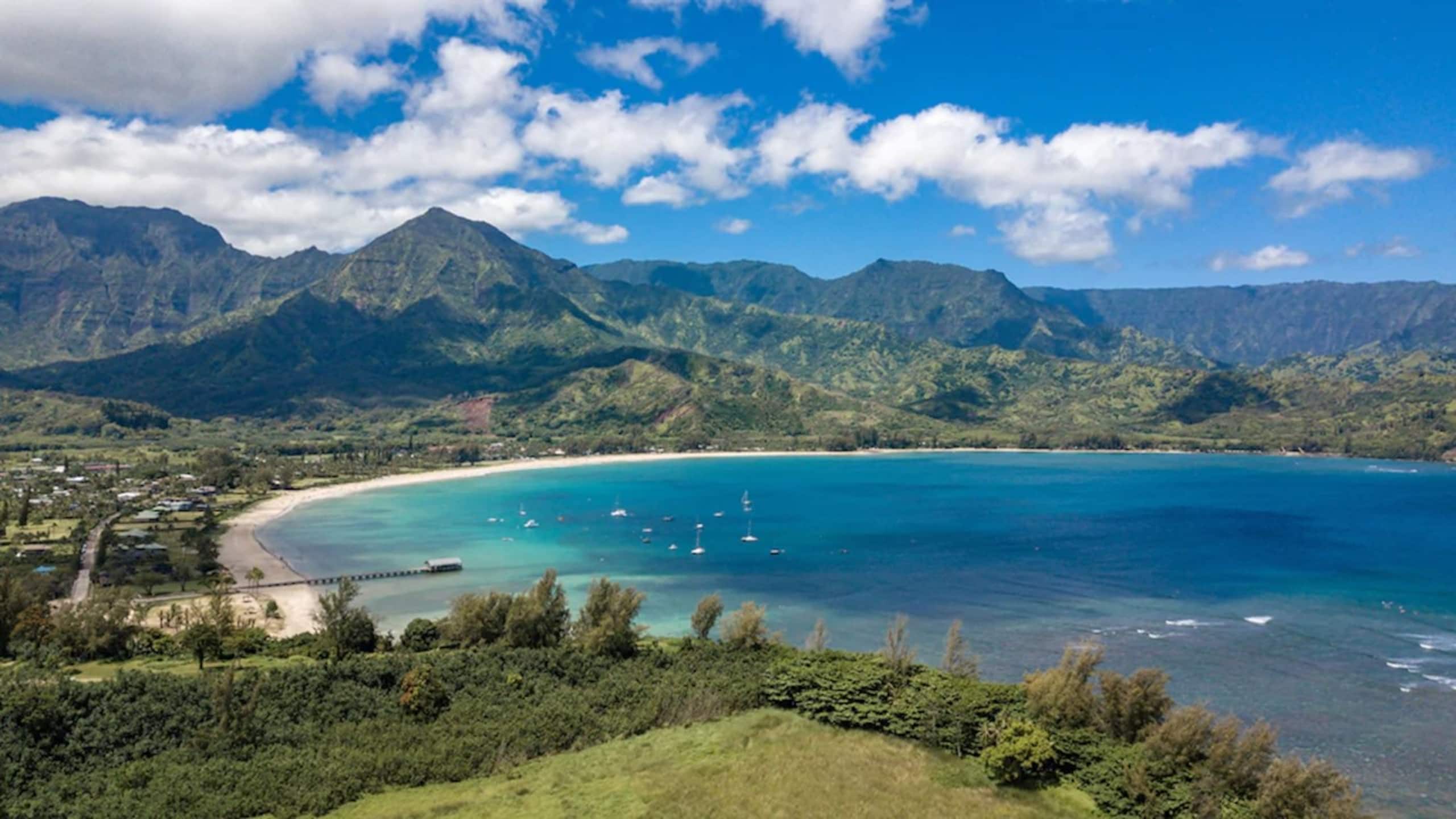 Spectacular views of Hanalei Bay sleeps 3 #9201 - Image 17
