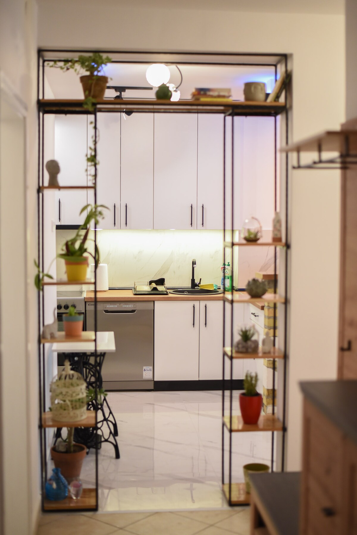 A modern kitchen is visible through an open doorway framed by shelves featuring various potted plants. Bright cabinets and sleek countertops create a functional space. The stainless steel appliances are situated against a soft-lit backdrop, emphasizing a clean and contemporary aesthetic.