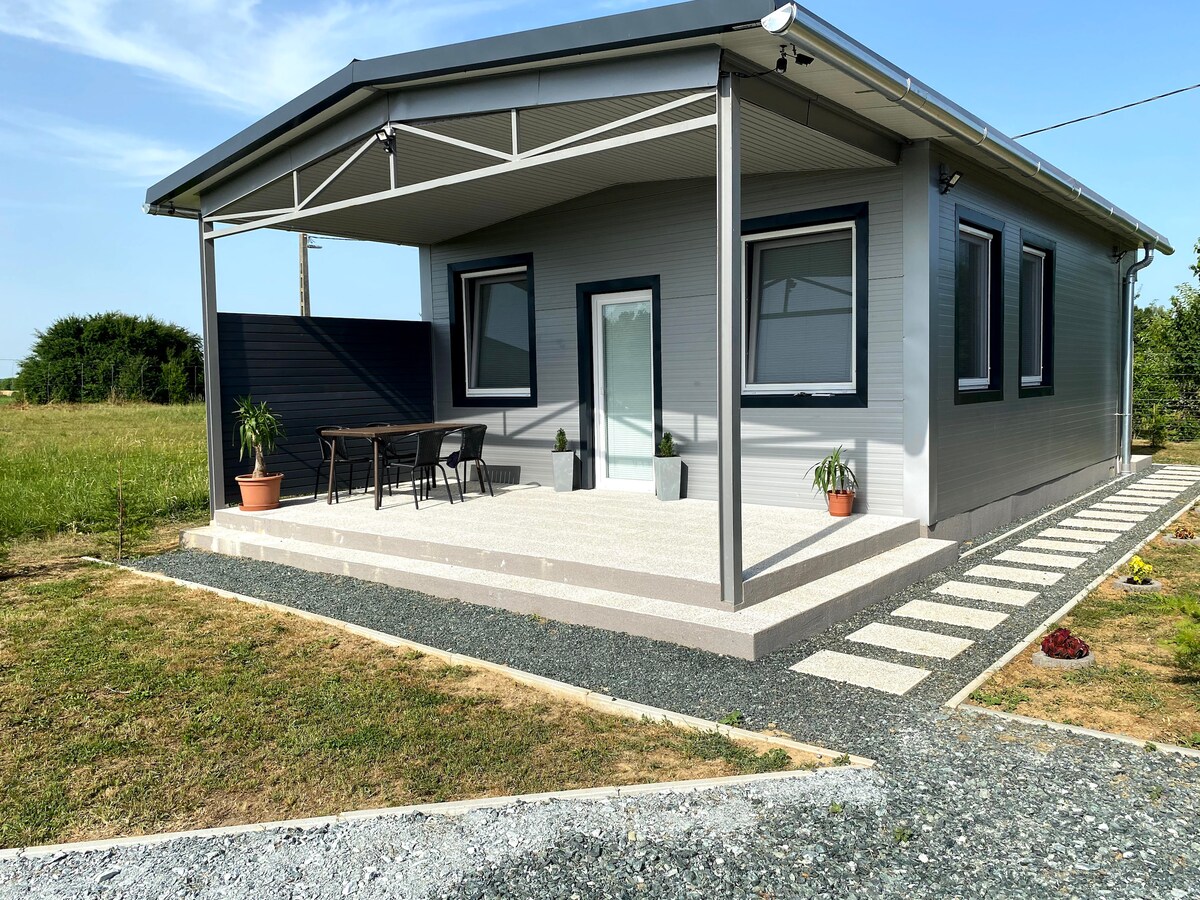 The exterior features a modern single-story structure with a covered porch. A wooden table with several chairs is positioned on the patio, surrounded by potted plants. A gravel pathway leads to the entrance, with a grassy area and shrubs visible in the background.