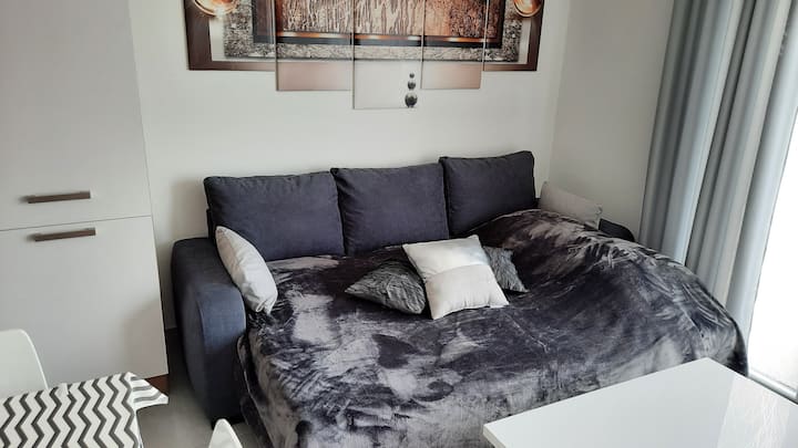 L'elsa : F2 De Plain-pied- Terrasse-parking Privé - Châtenois