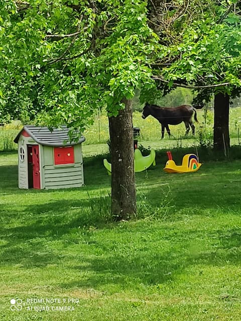 Small restored stone farmhouse near Périgueux