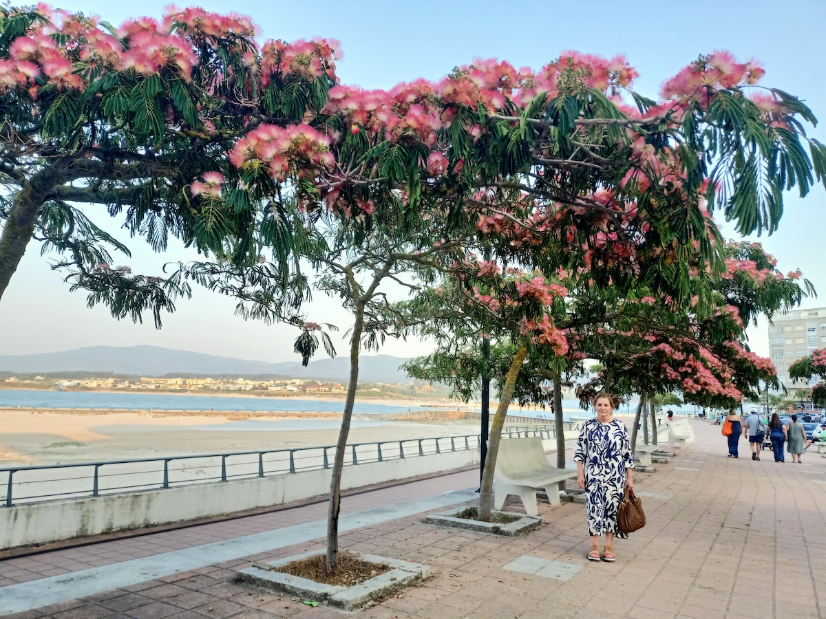 A scenic waterfront promenade lined with trees featuring vibrant pink flowers. Benches are positioned along the walkway, which extends beside the sandy beach and tranquil waters. The background reveals a gentle landscape of rolling hills and a clear sky.