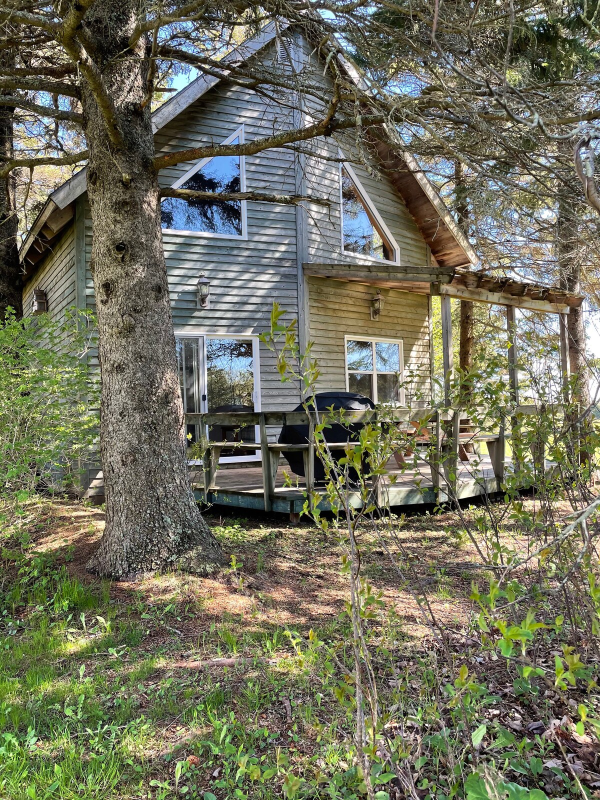 A charming cottage is framed by tall trees, with a large deck extending from the side. Generous windows allow natural light to fill the interior, while the surrounding greenery adds a touch of privacy and tranquility.