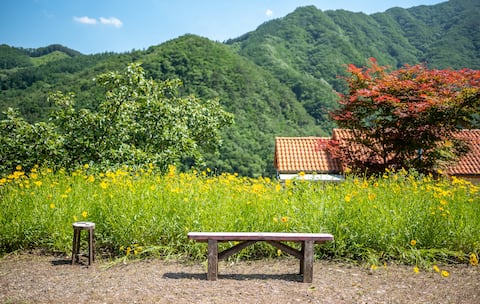 Chasonghwa House (Peppermint)